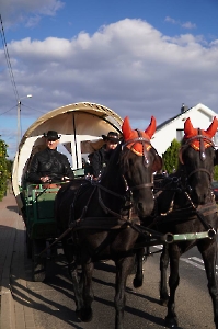 Dzień Tatara 28.09.2025-90