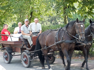 Pamięci naszego sołtysa Tadeusza Malepszego-6