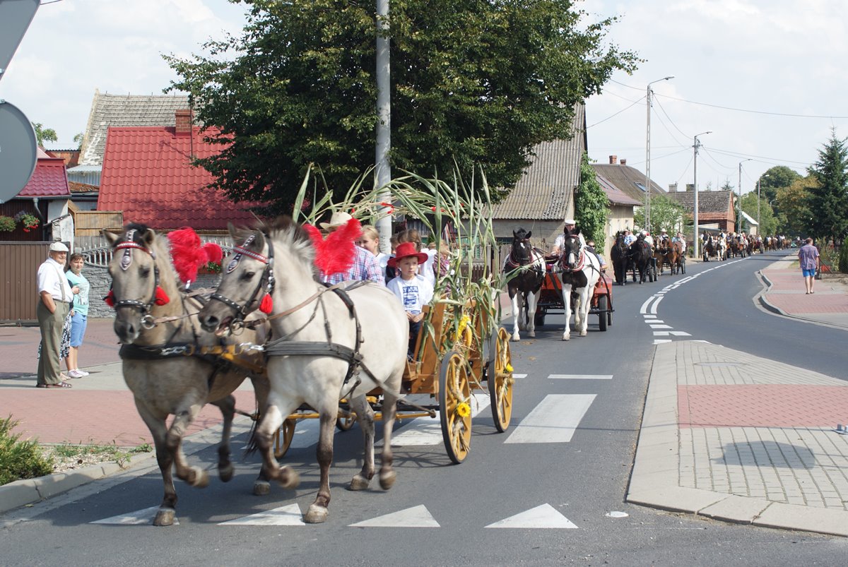 Dożynki2015-35