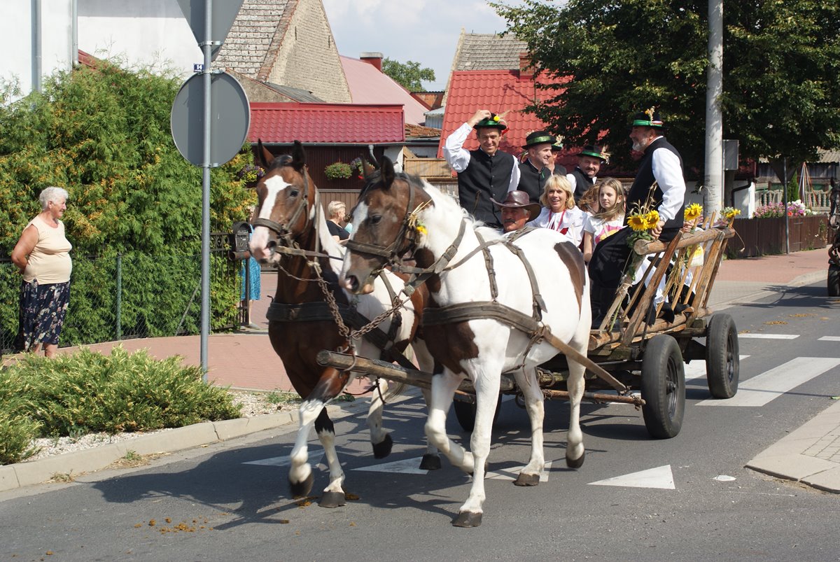 Dożynki2015-36