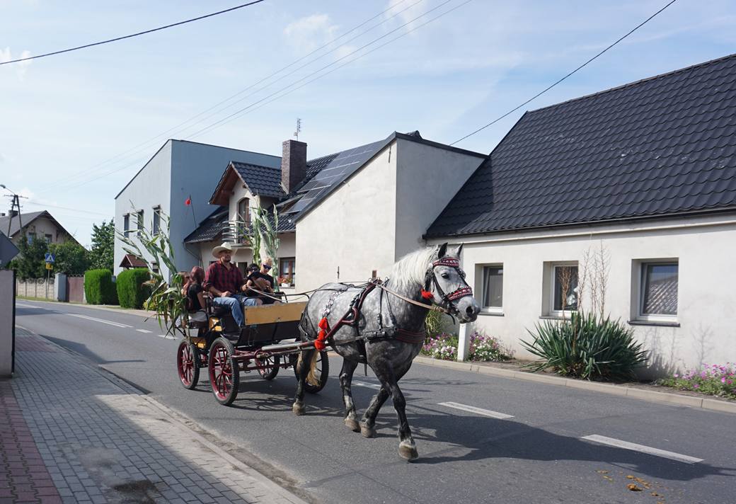 Korowód dożynkowy 2025-18
