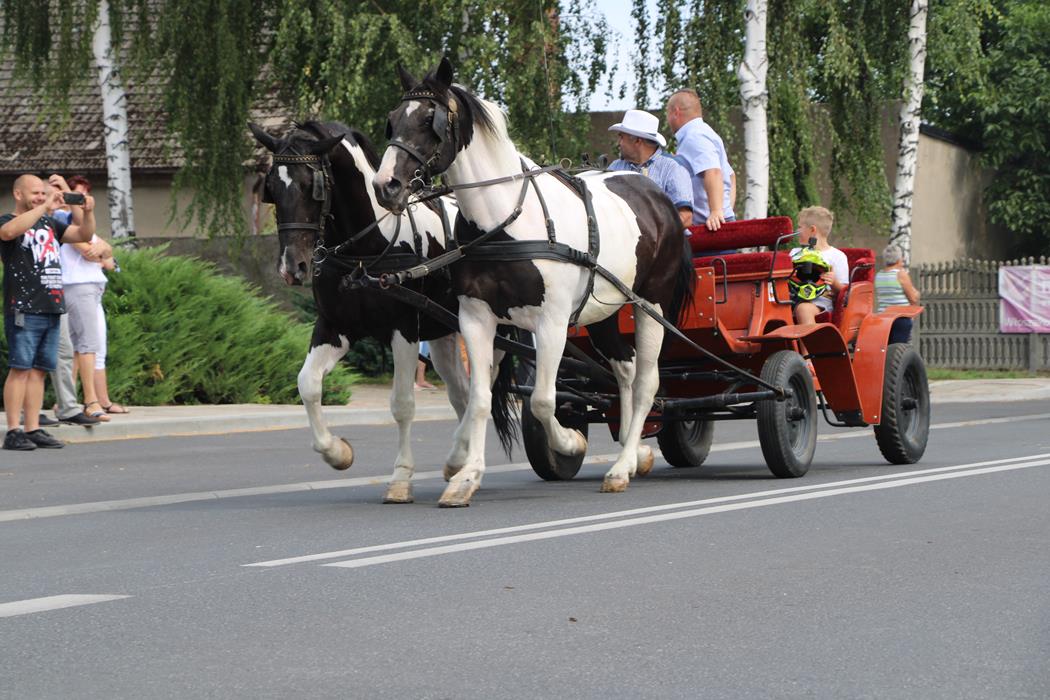 Dożynki w Bukówcu Górnym 2019-31