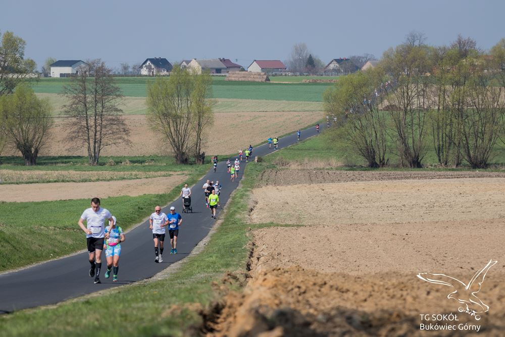 Bieg Sokoła 2019-103