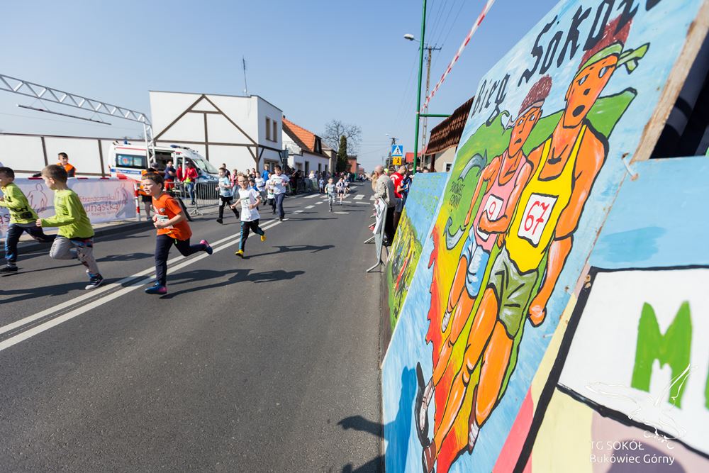 Bieg Sokoła 2019-37